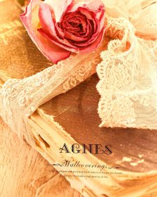 آلبوم اگنس-Agnes